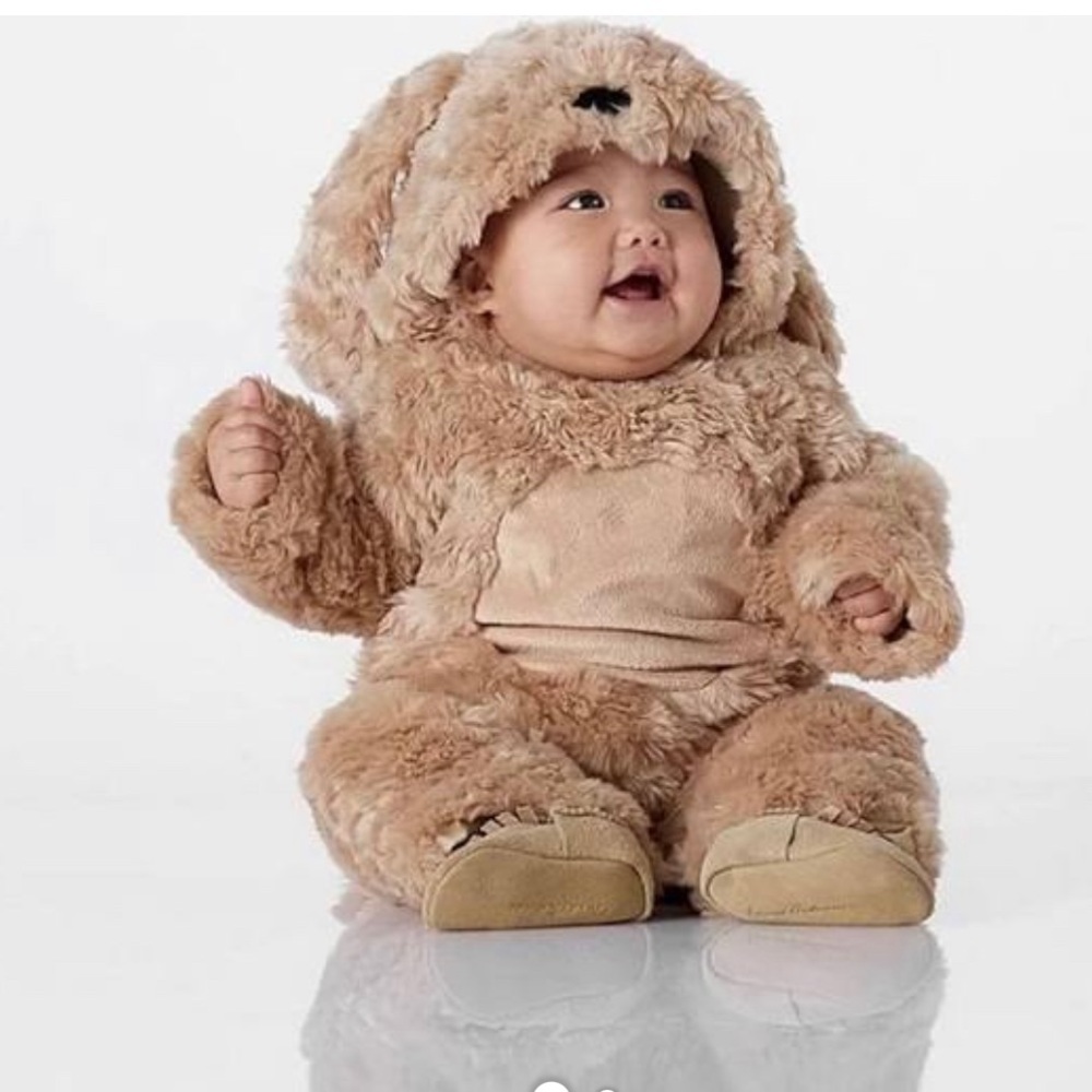Pottery Barn Kids puppy costume